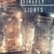 Fairy Lights for Mason Jars, DIY Lanterns, Centerpieces, Rustic Wedding Decor, Fall Wedding, Party Decor, Mason Jar Lights  *Led lights Only