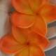 Orange Plumerias Real Touch Flowers frangipani heads for cake decoration and wedding bouquets