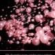 Guirlande de perles rose de 5 mètres DECO MARIAGE