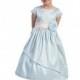 Light Blue Poly Dupioni Dress w/Sleeves Style: D3860 - Charming Wedding Party Dresses