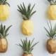 Pineapple Magnet w/Air Plant