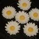 Gum Paste Daisies (Daisy) Wedding Cakes, Cupcake Toppers, Cake Pops, Shower Cakes, Birthday Cakes