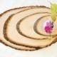 Large Rustic Wood Tree Slice Centerpieces Wedding Decorations Wooden Rounds