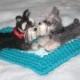 Wedding Cake Topper / Needle Felted Dogs / Your pets on Your Wedding Cake / Anniversary Gift / example Miniature Schnauzer