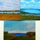 Assorted Finger Lakes Greeting Cards (Set of 6 print reproduction-Skaneateles, Canandaigua, and Hemlock) 4" x 5.5" by Mike Kraus