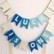 Personalised ombre blue and silver glitter cake bunting 