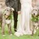 16 Perfect Photos Of Pets At Weddings
