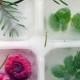 How To Make Floral, Fruit, And Herb Ice Cubes