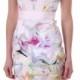 Ted Baker Womens Ted Baker Womens Arienne Dress In Hanging Gardens Print Pale Pink - Ted Baker Womens From Blueberries UK