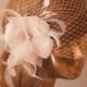 BIRDCAGE VEIL with Pale Pink Flower and Rhinestone Brooch.Fascinator with Veil