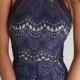 Was Just Thinking About You Navy Blue Lace Sleeveless Mock Neck Halter Bodycon Mini Dress