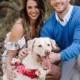 Dog Flower Collar, Custom Order Dog Floral Wreath, Dog Photo Shoot, Dog Wedding, Puppy Floral Collar, Engagement Photo, Boho Puppy Wreath