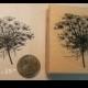 P57 Queen Ann's lace flower rubber stamp
