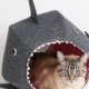 Great White Shark Cat Ball Cat Bed a Funny Pet Bed for Shark Week - funny pets