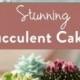 Spectacular Succulent Cakes