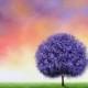 Print of Lavender Tree Painting, Archival Photo Print of Purple Tree Art, Modern Art Wall Art, Multi Colored Orange and Purple Sky Landscape