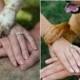 30 Precious Wedding Photo Ideas With Dogs