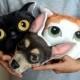 Custom Pet Portrait  Pillow Plush, Personalized  gift for pet lovers, cat pillow, dog pillow