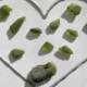 11 pcs Green sea glass from the Black Sea Set of natural beach glass Craft supplies for crafts Handcrafted jewelry Ihappywhenyouhappy SGL8