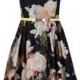 Opulent Bloom Full Skirt Dress - Black 