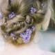Wedding - Hair Style & Veils & Flower Crowns