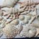 Edible seashells & Starfish (mixed sizes)