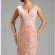 Blush Embellished Pleated V Neckline Lace Dress by Lara Designs - Color Your Classy Wardrobe