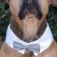 Dog Tuxedo, Tuxedo Collar, Dog Wedding Attire, Wedding Dog Collar, Large Dog Wedding Suit, Chihuahua Clothes, Gray Bow Tie, White Tux Collar
