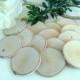 25  (3")  Birch Wood tree slices - Birch logs - Save the date - diy projects - Rustic wedding - Magnets - Christmas tree ornaments