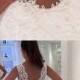 Mermaid V-Neck Court Train Backless White Chiffon Wedding Dress With Lace