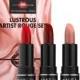 Lustrous Artist Rouge Lipstick Set