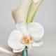 Ivory Calla Lily and Orchid Boutonniere with Aqua Blue Wrap