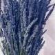 SALE Lavender Stems Bunch Bundle Stems 2017 Fragrant dried lavender for bouquets, and weddings Grosso English *BEST SELLER*