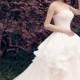 Champagne Tulle Lace Long Wedding Dress, Lace Bridal Gown TA0118