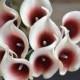 Burgundy Picasso Calla Lilies Dark Red Picasso Real Touch Flowers DIY Silk Wedding Bouquets, Centerpieces, Wedding Decorations