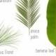 Trends: 8 Leaves To Love   Tropical Leaf Decor Ideas