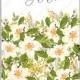 Jasmine sakura anemone wedding invitation bridal shower invitation floral watercolor