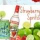 Skinny Strawberry Lime Spritzer