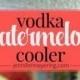 (msg For 21 ) Vodka Watermelon Cooler - JenniferMeyering.com #CelebrateTheSummer #ad 