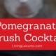 A Tasty Pomegranate Cocktail Drink For Your Next Party! You’ll Crush On This Delightful Mixture Of Pomegranate Soda, Coconut Rum, Ginger Ale And Pe… 