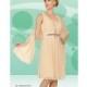 Misty Lane by BenMarc Cream Knee Length Dress and Shawl 13530 - Brand Prom Dresses