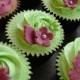Hot Pink & Lime Green Cupcakes Wth Butterflies And Gerberas