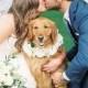 Cute Wedding Dog Photo Idea - Bride   Groom {Erin Wilson Photography} 