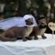 River Otter Wedding Cake Topper, Bride-Groom-Animal-Wooden Raft-Water-Wildlife-