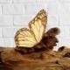 Monarch Butterfly hair clips Bridesmaid Best friend Valentine Wedding gift Rustic wedding Laser Wood feather