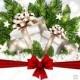Merry Christmas invitation gift box fir bow gold stars light garland balls