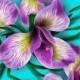 Iris Orchid Alstroemeria seamless pattern