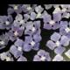 26 Edible HYDRANGEA Flowers / any color / Gum Paste / fondant /sugar flower / cake or cupcake decoration or toppers