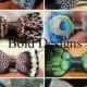 Handmade feather bow ties, huge discount shipping on multiple bowties.