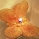 BeterWedding Merah Muda Terang Kupu-kupu mengambang Tealight Lilin Pengantin Kebaikan